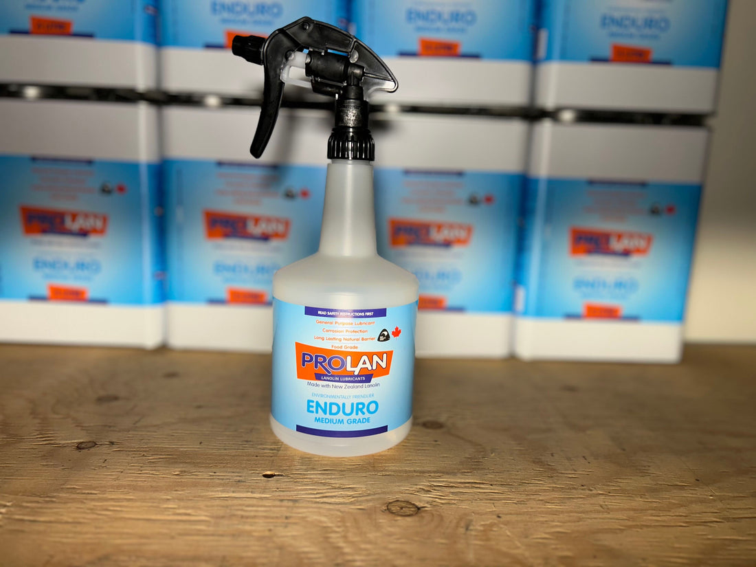 Trigger Spray Bottle
